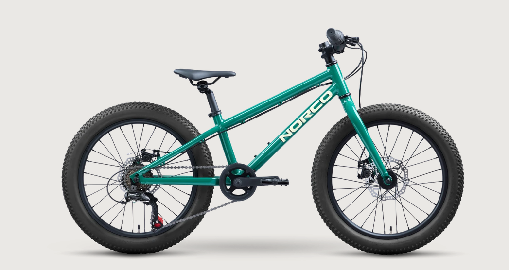 Norco Storm 20 Disc