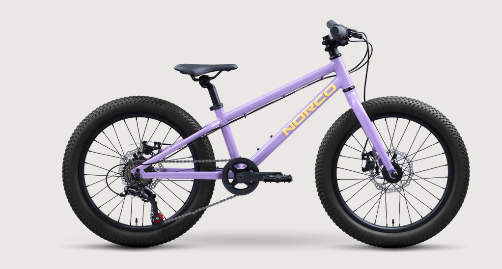 Norco Storm 20 Disc