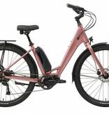 Norco 25 Norco Scene VLT