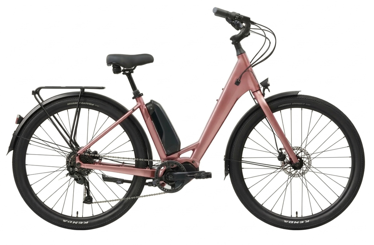 Norco 25 Norco Scene VLT