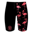 Qswim QSwim 2024