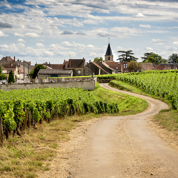 Bourgogne: Beyond the Basics