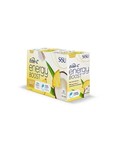 SISU SISU Ester-C Energy Boost 30 packs Pina Colada