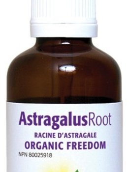 New Roots New Roots Astragalus Root 50 ml