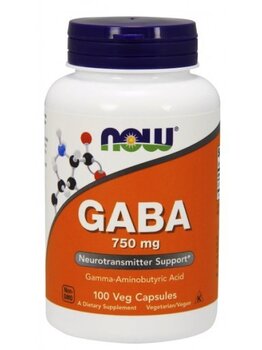 Now Foods NOW GABA 750mg 100 caps