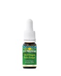 Joy of the Mountain Oil of Oregano 10ml