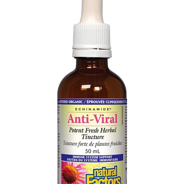Natural Factors Natural Factors Echinamide Anti-Viral Potent Fresh Herbal Tincture 50mL