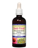 Natural Factors Natural Factors Echinamide Anti-Viral Potent Fresh Herbal Tincture 100mL
