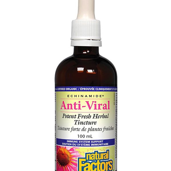 Natural Factors Natural Factors Echinamide Anti-Viral Potent Fresh Herbal Tincture 100mL