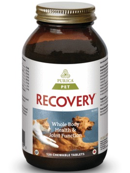 Purica Purica Recovery SA Extra Strength 120 chewable tabs