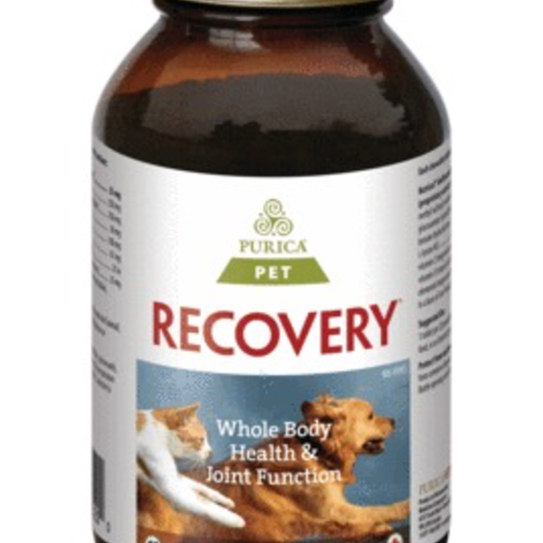 Purica Purica Recovery SA Extra Strength 120 chewable tabs