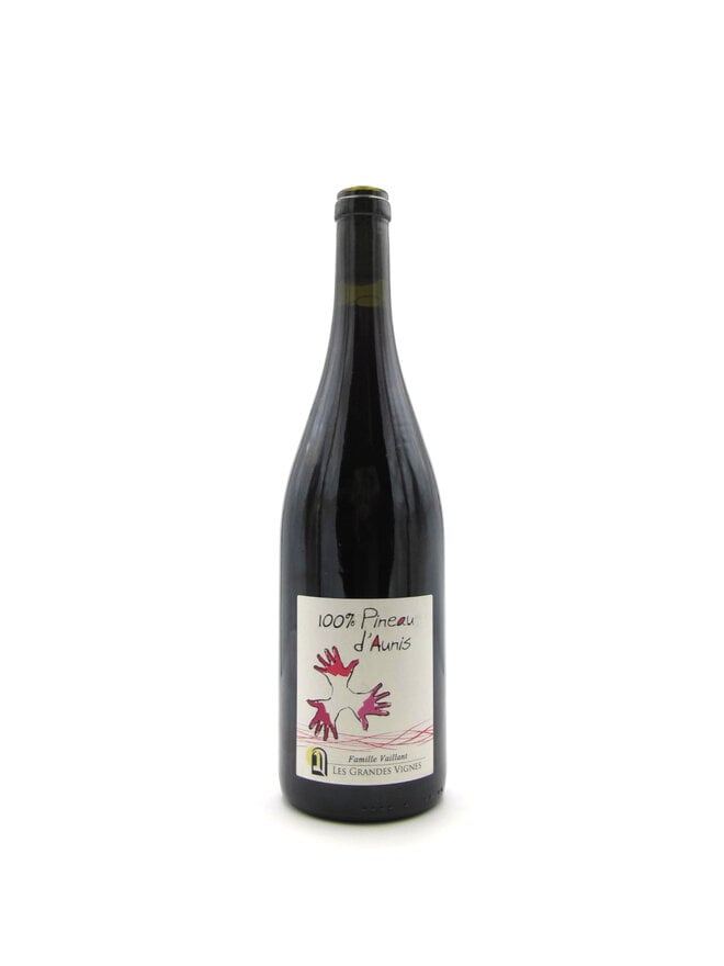 2021 Famille Vaillant Pineau d'Aunis 750ml