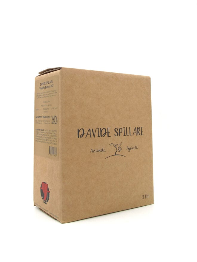NV Davide Spillare Veneto Bianco 3L Box
