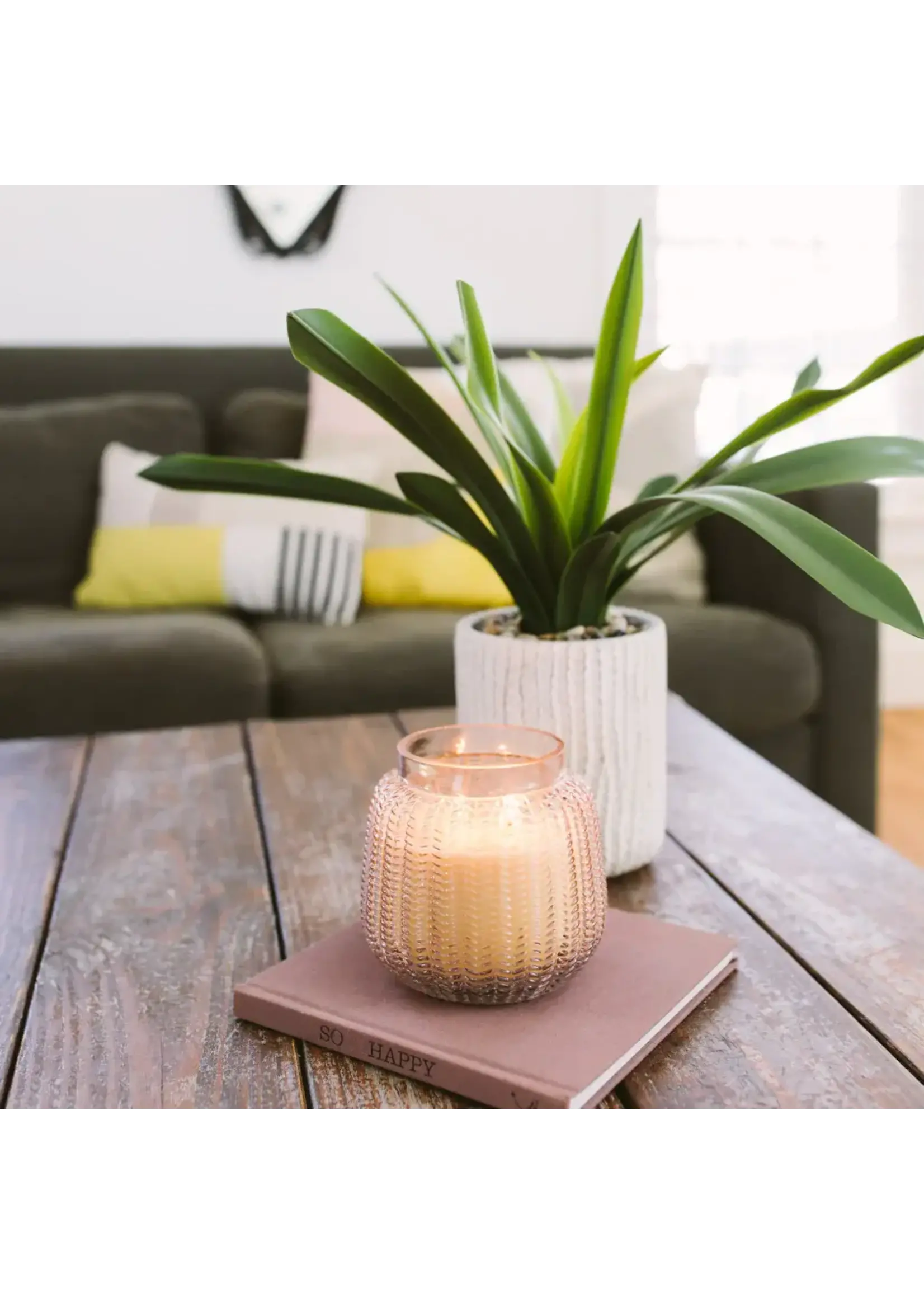 Sweet Grace Collection 034 King Frog Clothing & The LilyPad Boutique