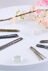 FH2 AZ0029 2 inch Hair Pins 100/pkg