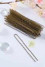 FH2 AZ0028 3 inch Hair Pins 60/pkg