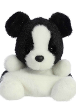 Aurora PPALS - BRODY COLLIE
