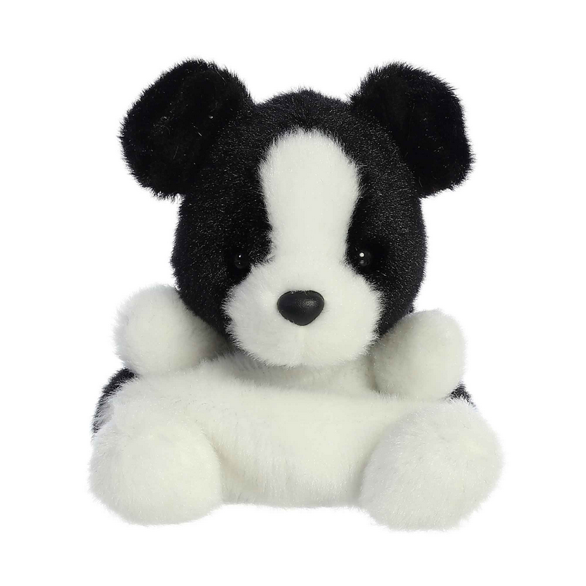 Aurora PPALS - BRODY COLLIE
