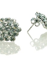 FH2 AZ0015 Cluster Crystal Earrings Pierced