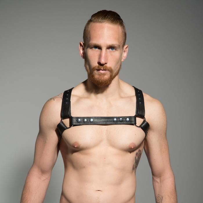 Half Holster Harness