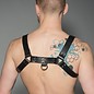 Harness, Half Bulldog Latigo