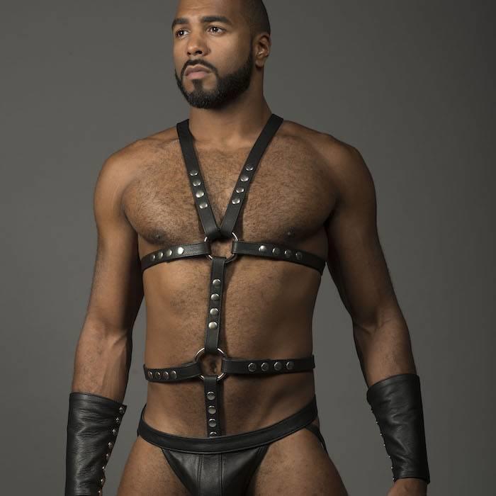 Harness, Full, O-Ring,