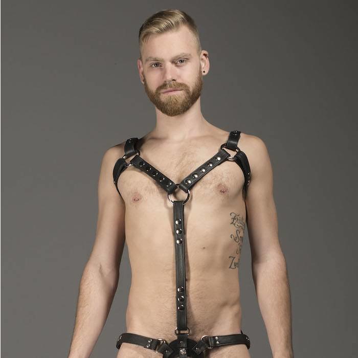 Harness, Full, Texas