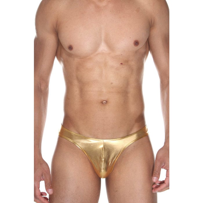 Swan Brief