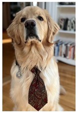 Dog Neck Tie