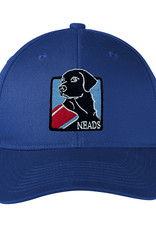 Baseball Hat- NEADS Logo