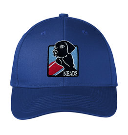 Baseball Hat- NEADS Logo