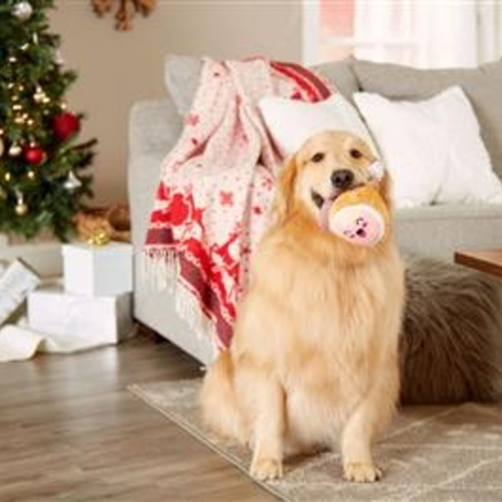 Pearhead Ham Dog Toy