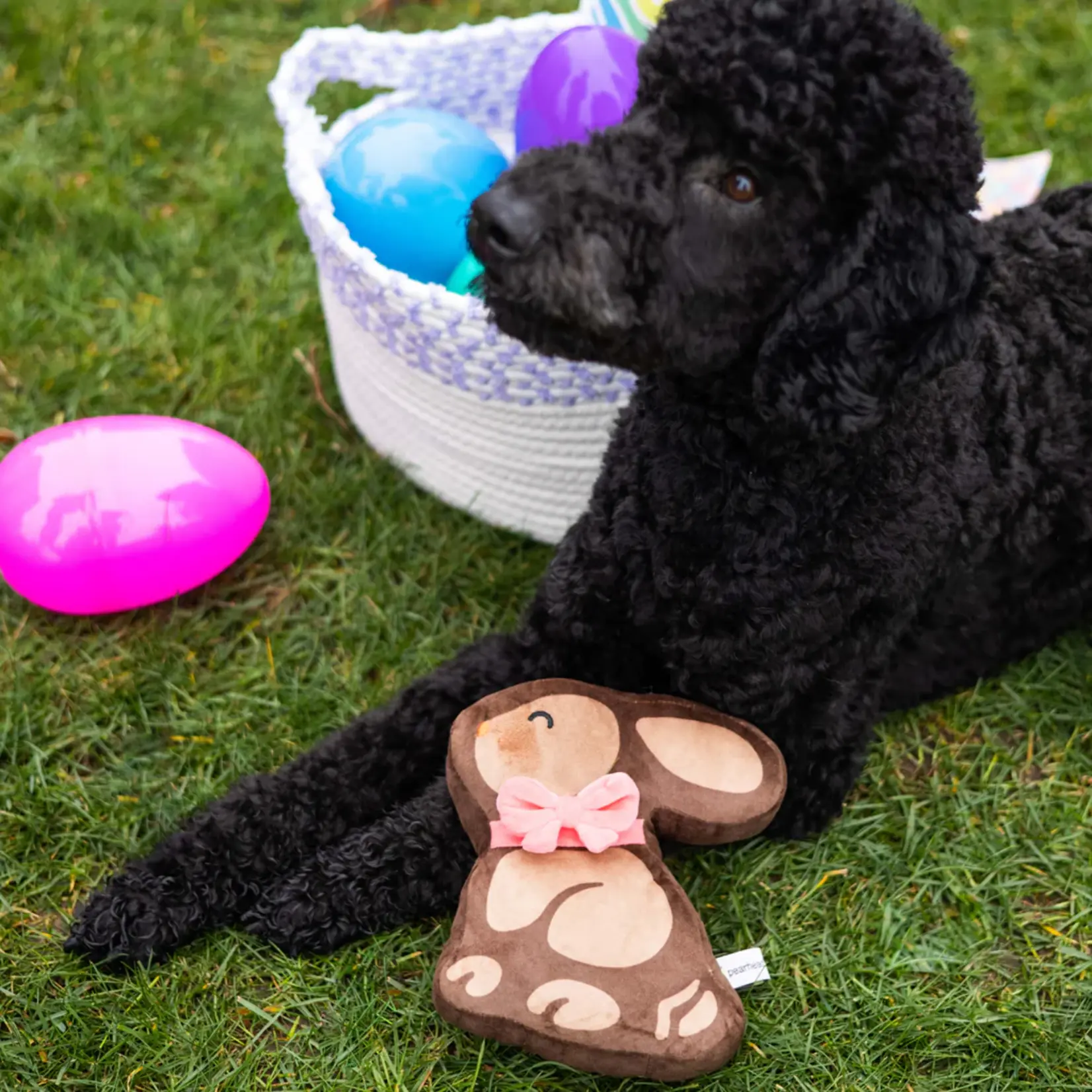 Pearhead Chocolate Bunny Dog Toy