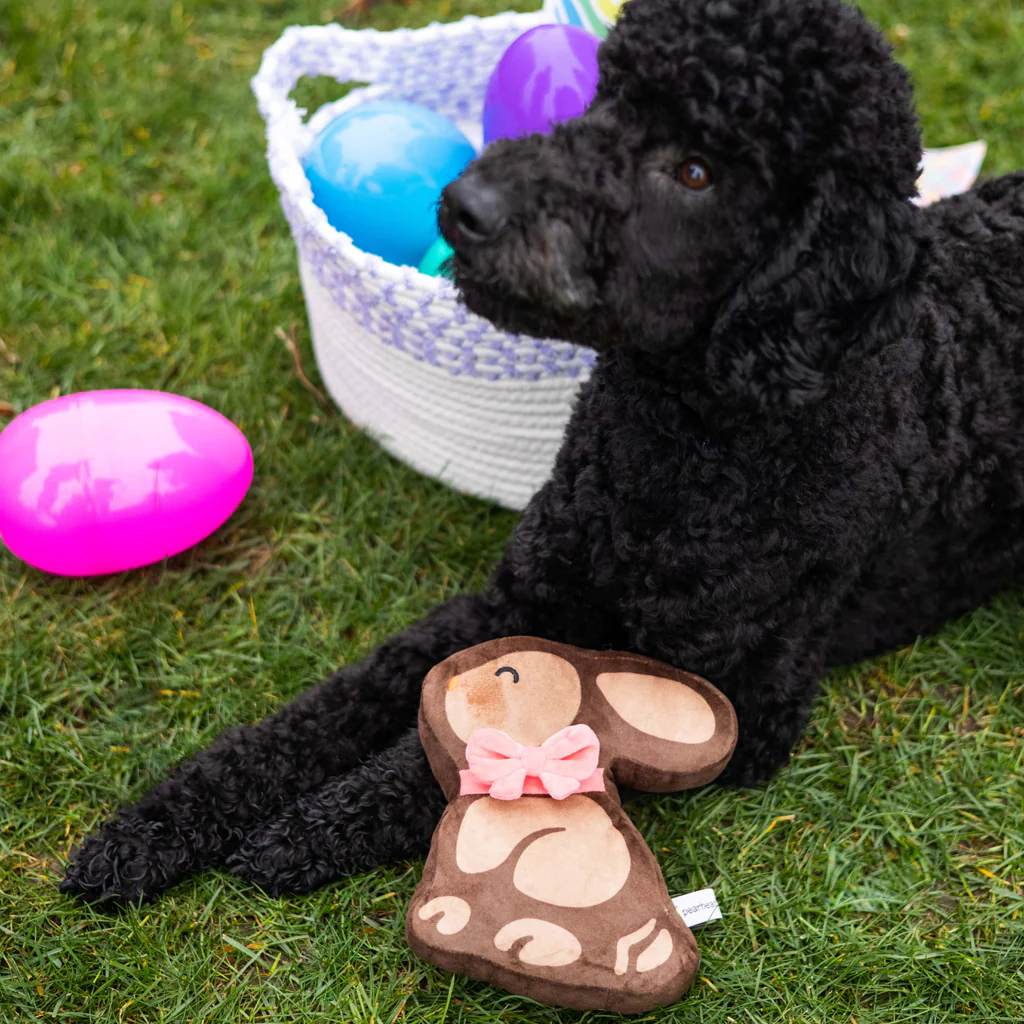 Pearhead Chocolate Bunny Dog Toy