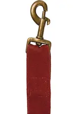 Holiday Dog Leash