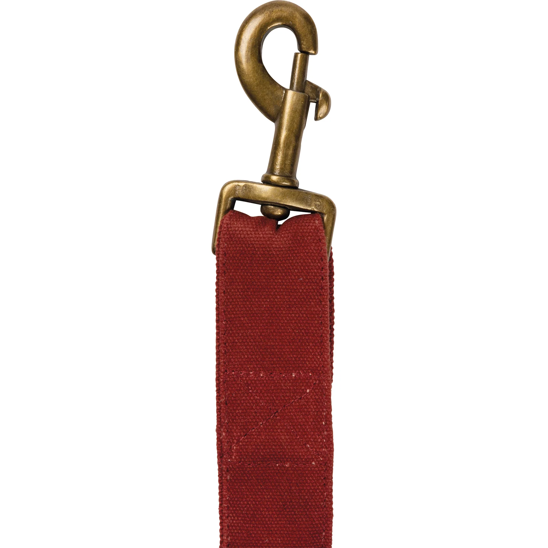 Holiday Dog Leash