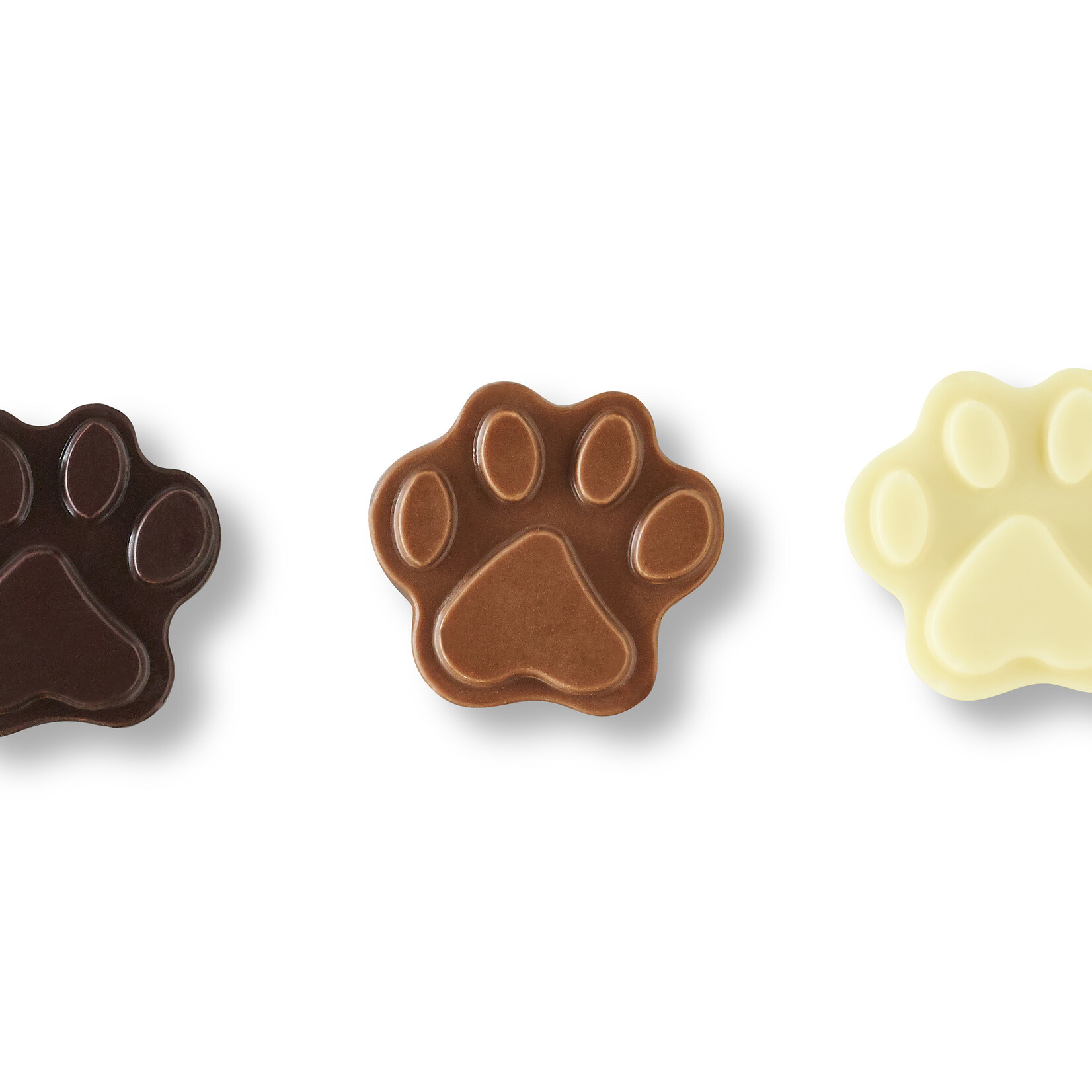 Harbor Sweets Be Pawsitive Chocolates