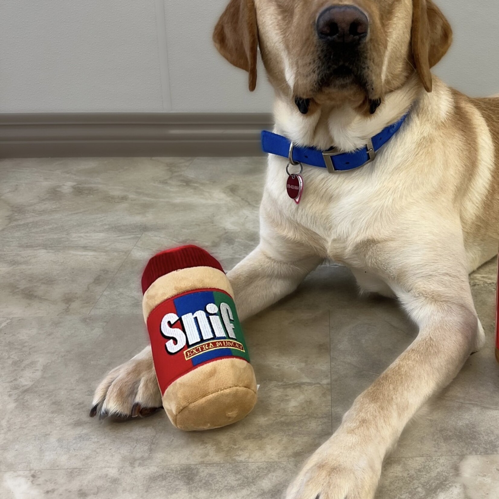 Huxley & Kent Snif Dog Toy