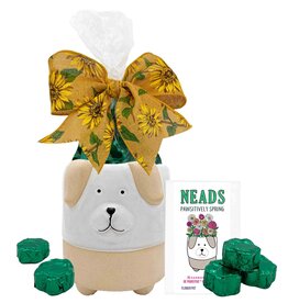 Seeds & Sweets Gift Set