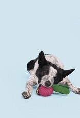 BARK Turnip Chew Toy