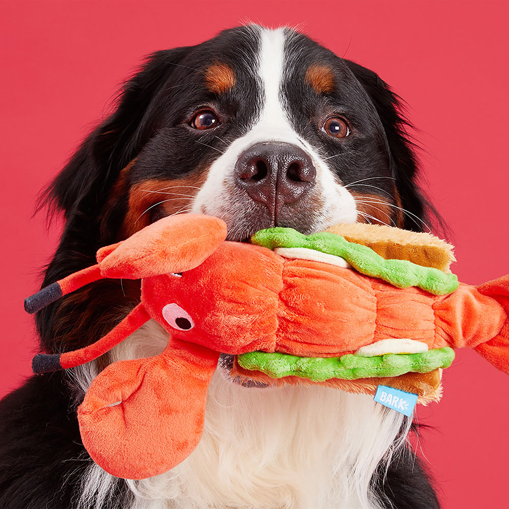 BARK Lobster Roll Dog Toy