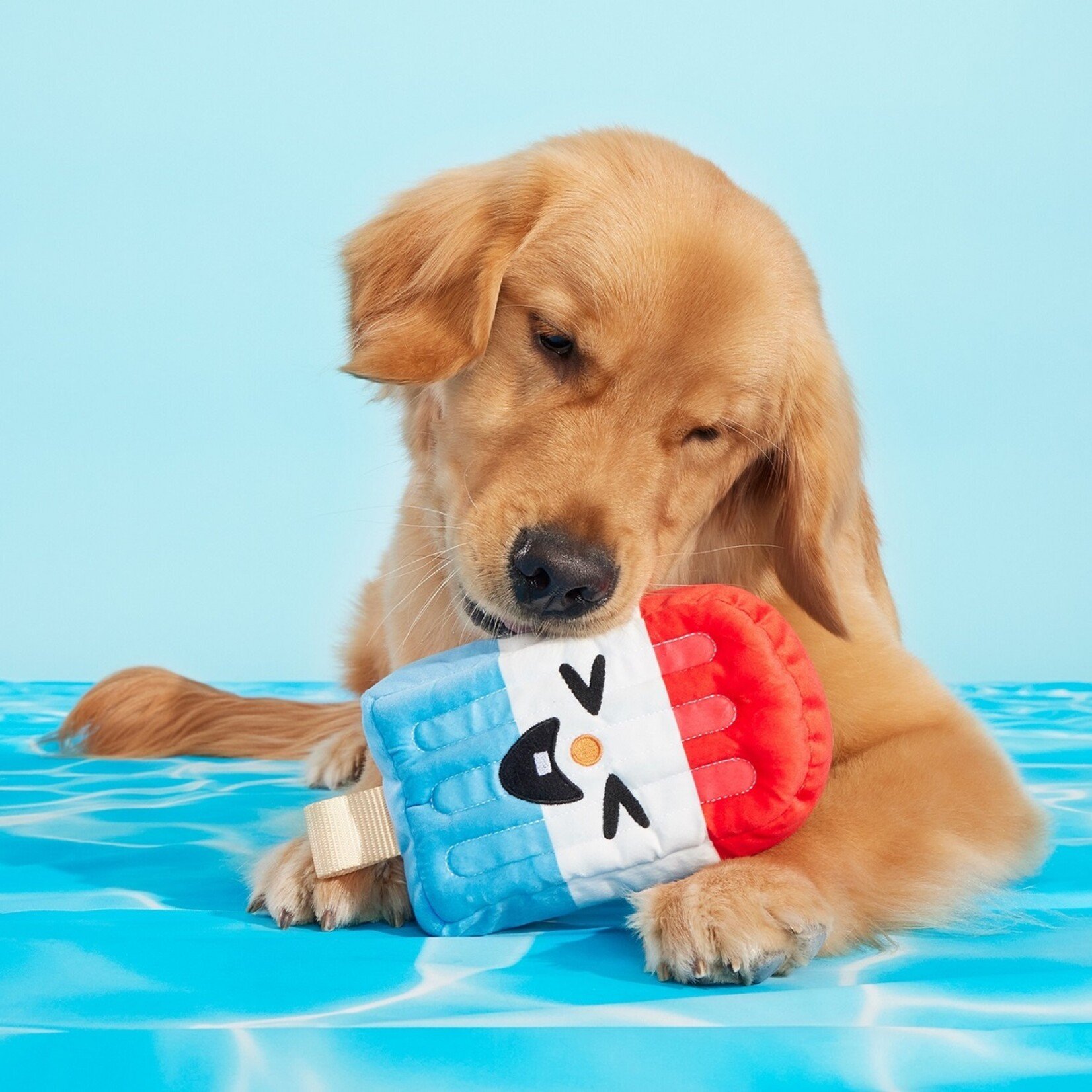 BARK Rocket Pop Dog Toy