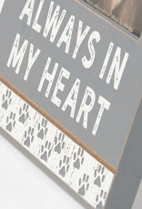 Frame-Always in my Heart