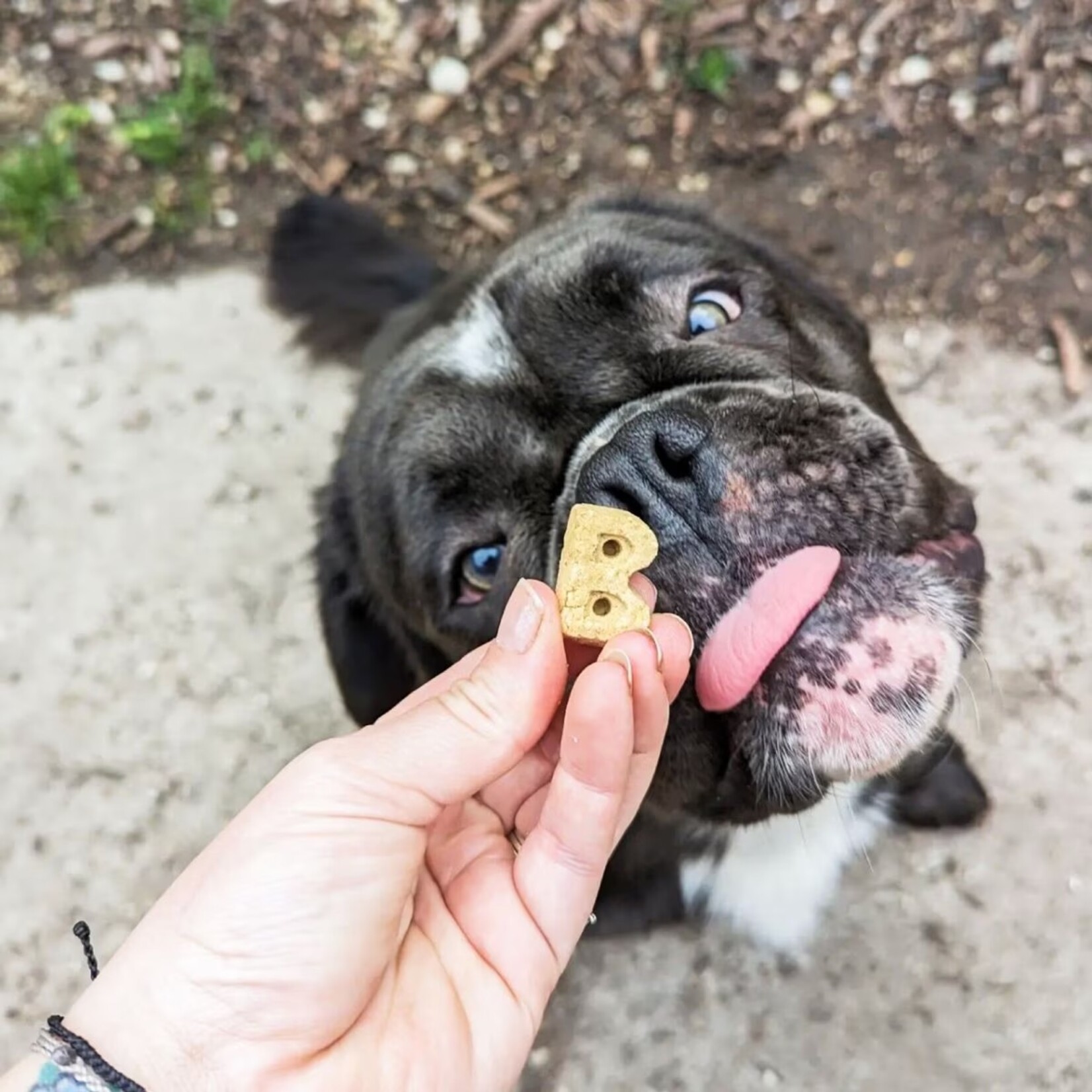Bocce's Bakery Treats-Burgers & Fries