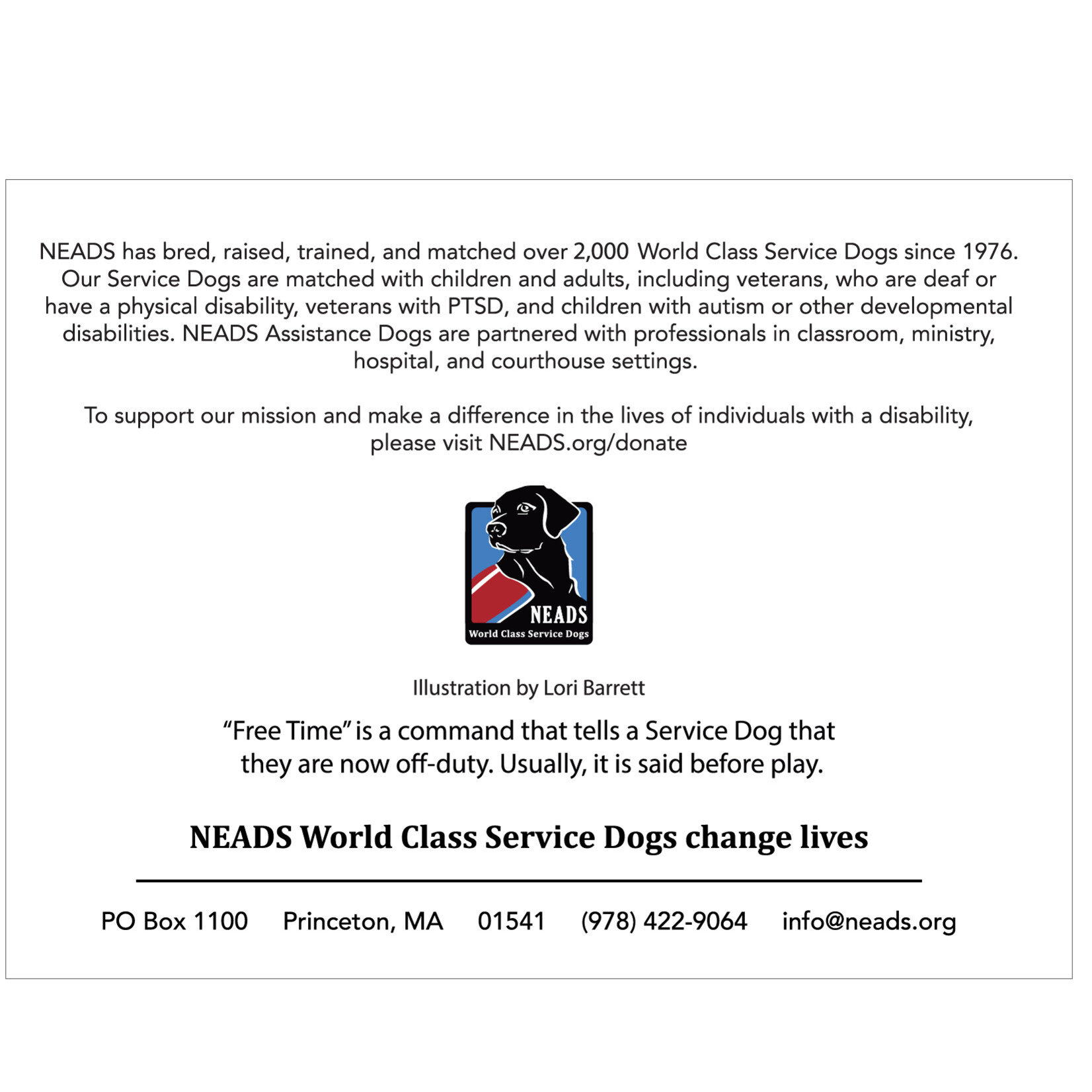 Notecards- Free Time