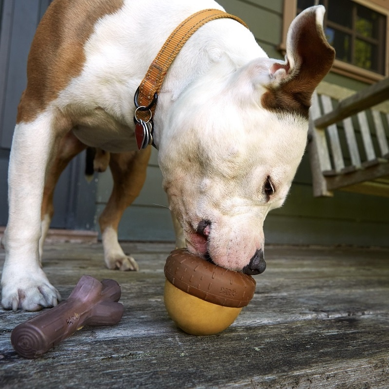 BARK Acorn Dog Toy