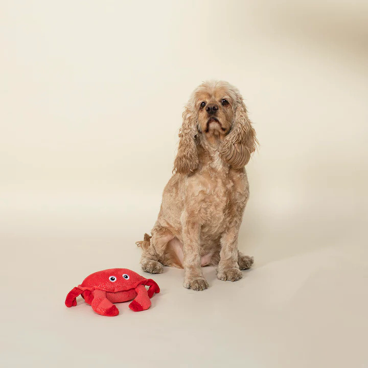 Pet Shop by Fringe Studio Crab Dog Toy