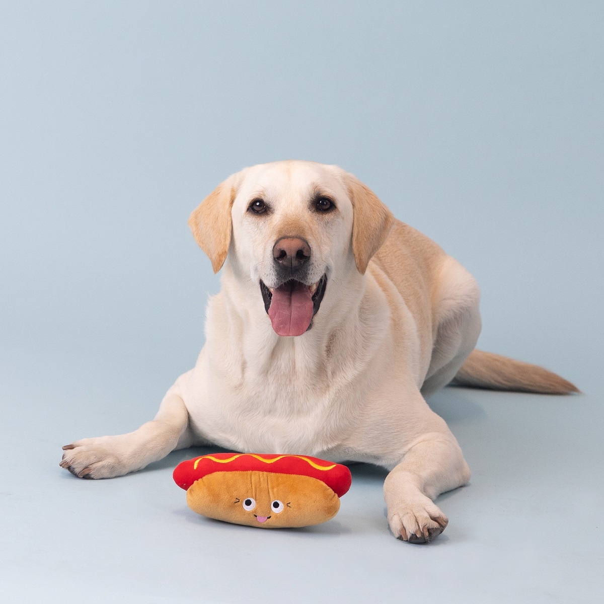 Wagsdale Hot Dog Toy