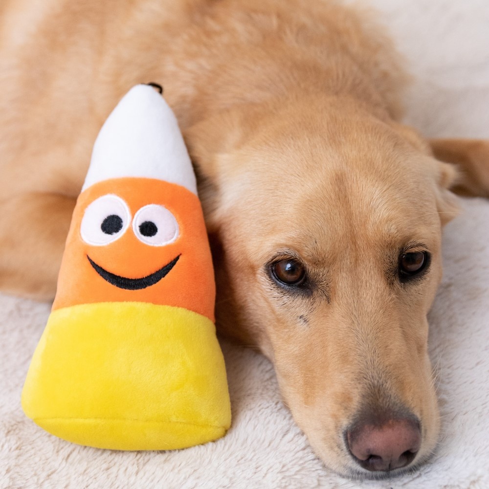 Candy Corn Dog Toy NEADS Shop