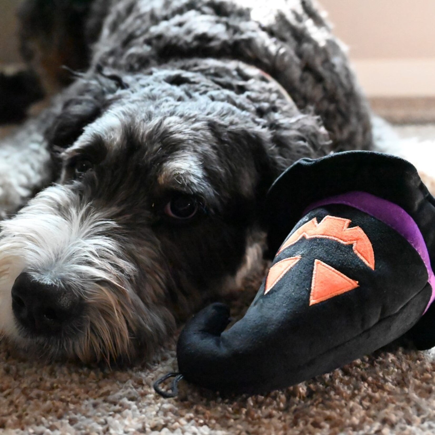 Huxley & Kent Witch Hat Dog Toy